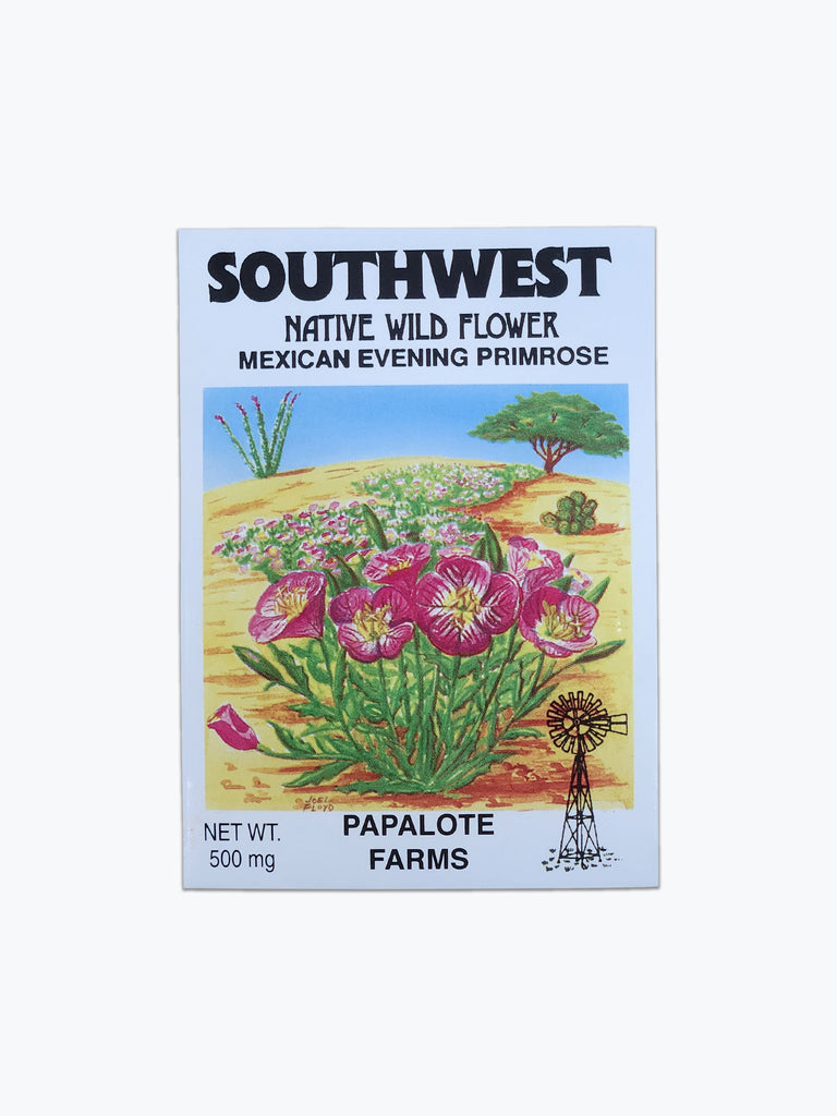 mexican evening primrose seeds