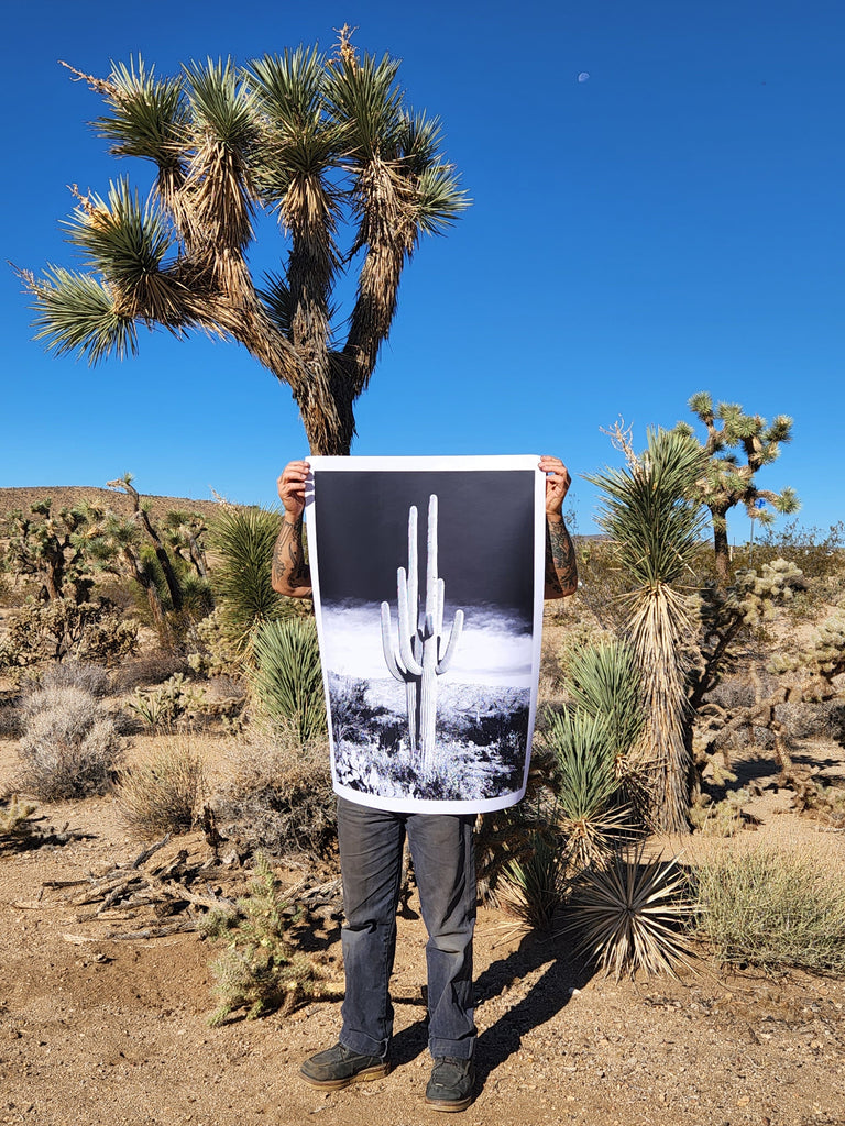 Giant Saguaro Cactus Poster Print in black and white