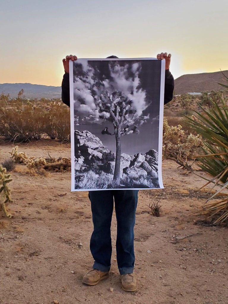 Joshua Tree National Park Poster